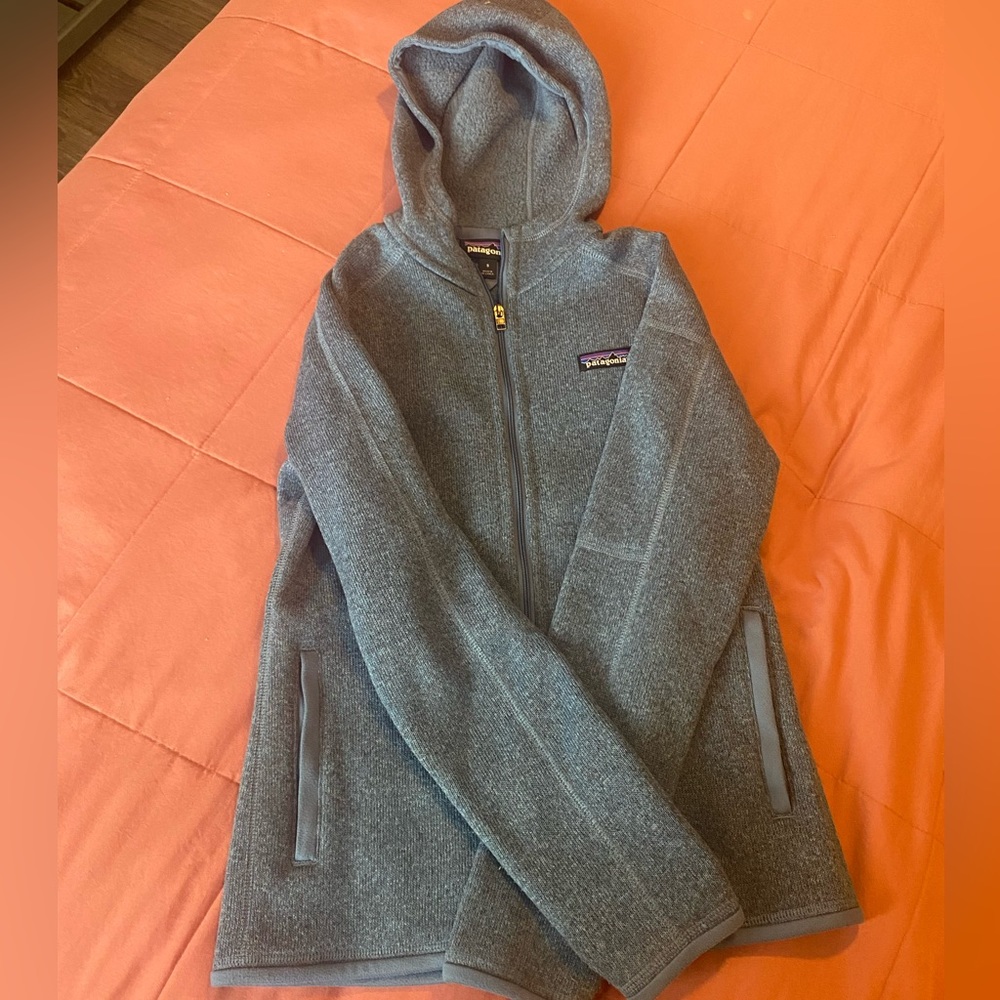 Blue Patagonia zip up.